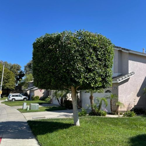 f0bf9b4c-1153-4e6f-b438-987d74edb098