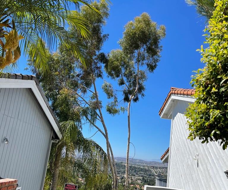 4385da44-70f2-4f94-8096-6e83f9ab6876